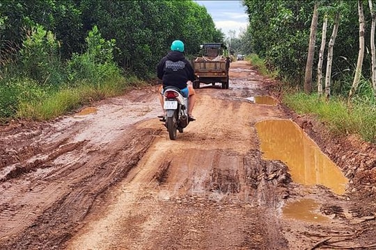 Sớm gỡ vướng hạ tầng giao thông đưa kinh tế Tân Lợi (Đồng Nai) tăng trưởng
