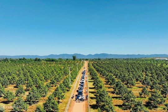 Hành trình 10 năm trả nợ của công ty bầu Đức