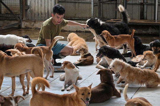 Người Jakarta tranh cãi về lệnh cấm thịt chó