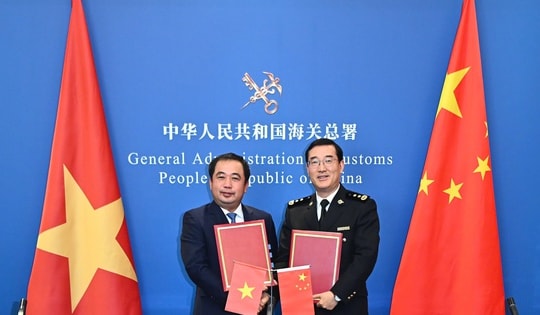 Mít tươi được phép xuất khẩu chính ngạch sang Trung Quốc