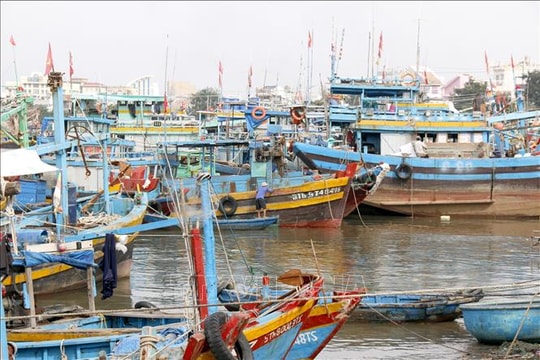 Lâm Đồng triển khai đồng loạt phương án ứng phó bão số 15