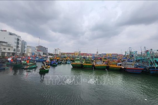 Gia Lai chủ động ứng phó bão số 15 theo phương châm '4 tại chỗ'