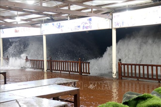 Ứng phó bão số 15: Lâm Đồng cấm các phương tiện hoạt động trên biển