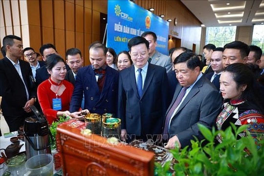 Hình thành các chuỗi giá trị nông sản, xây dựng nền nông nghiệp xanh, sạch