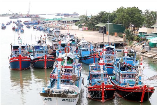 Ứng phó bão số 15: Hơn 360 tàu thuyền đã được hướng dẫn neo đậu an toàn