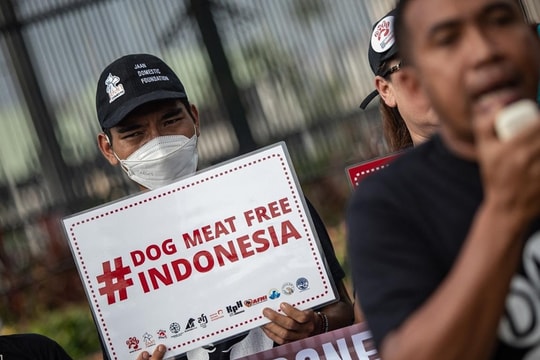 Mua thịt chó 'lén lút như giao dịch ma túy'