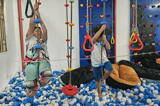 Xu hướng nuôi con toàn diện