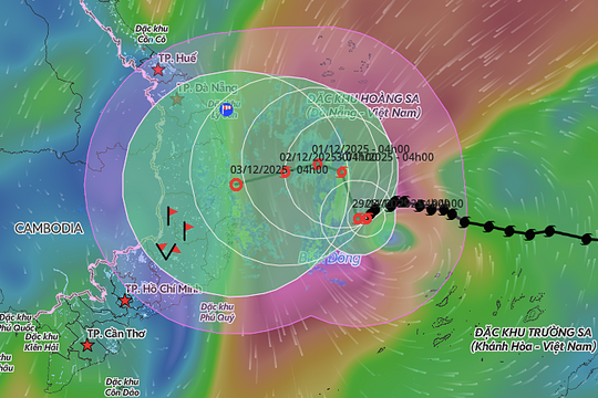 Bão Koto giảm còn cấp 11, hướng vào Gia Lai