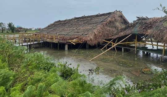 Chàng trai 8X vượt qua giông bão, quyết “hồi sinh” khu sinh thái ven đô Hà Tĩnh