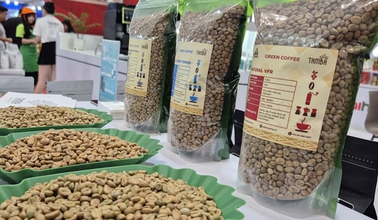 Giá cà phê hôm nay 28-11: Tăng trở lại, Malaysia mê cà phê Việt