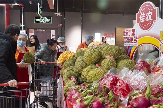 Quảng bá sản phẩm, trái cây Việt Nam tới doanh nghiệp và người tiêu dùng Trung Quốc