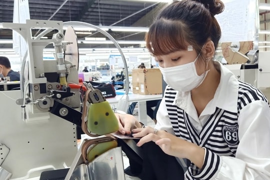 Tuyển nhiều lao động đi làm việc ở Nhật Bản 3 năm, thu nhập hơn một tỷ đồng