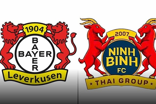 Báo Đức viết về việc CLB Ninh Bình sao chép Bayer Leverkusen