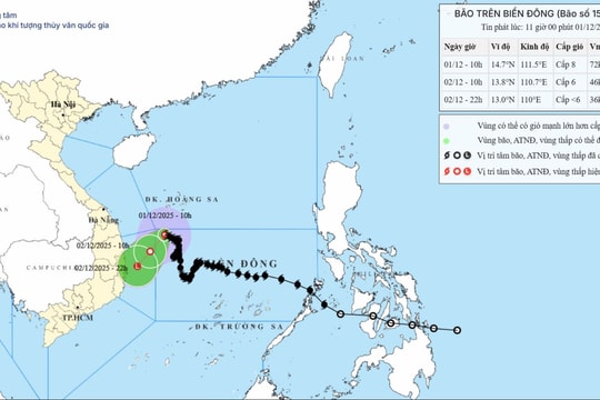 Khả năng ngày 2/12 bão số 15 suy yếu thành áp thấp nhiệt đới