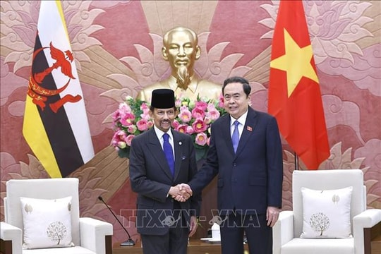 Chủ tịch Quốc hội Trần Thanh Mẫn hội kiến Quốc vương Brunei