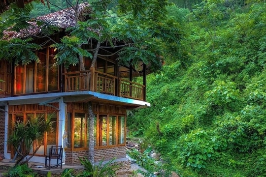 Nghề vợ chồng quấn quýt nắm tay, nhẹ nhàng “đút túi” hơn 200 triệu đồng/năm