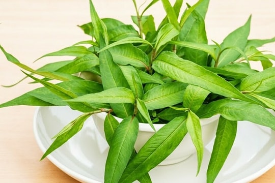 Ăn nhiều rau răm có giảm sinh lý nam?