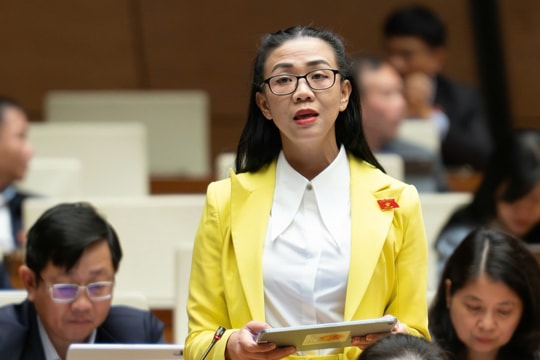 Đại biểu Quốc hội cảnh báo rủi ro phóng xạ từ khai thác đất hiếm