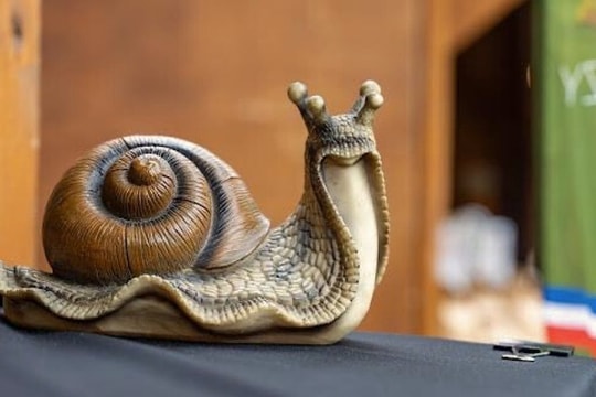 Đột nhập trang trại, trộm số ốc sên hơn 100.000 USD