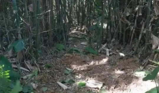 Đi đào giun, người đàn ông phát hiện kho báu quý giá