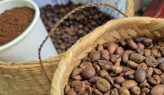 Giá cà phê hôm nay 1-12: Dồn dập thu hoạch và khuyến cáo quan trọng