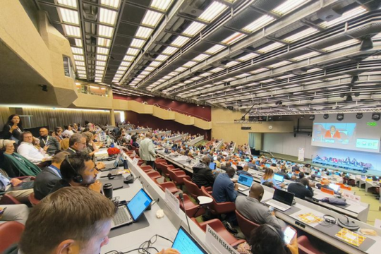 Tranh luận về các bằng chứng giảm tác hại thuốc lá tại COP11