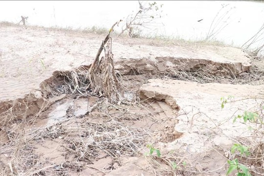 Sạt lở bờ sông Bồ diễn biến phức tạp trong mùa bão lũ