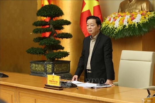 Hoàn thiện hệ thống dữ liệu, xử lý dứt điểm vi phạm IUU