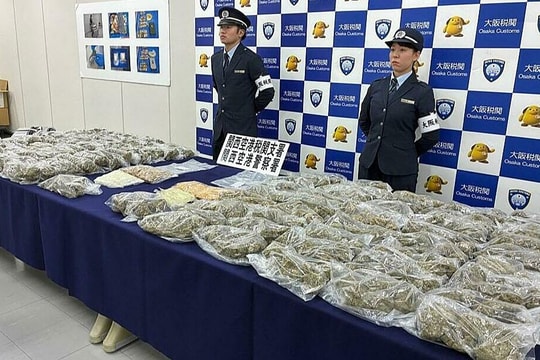 Hai người Việt bị truy tố vì mang hơn 30 kg cần sa vào Nhật