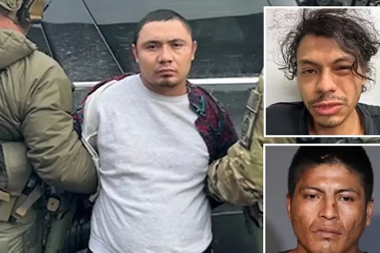 ICE cáo buộc New York phóng thích gần 7.000 'tội phạm nhập cư'