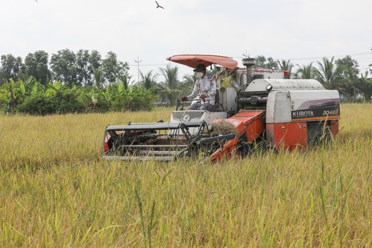 Việt Nam hướng tới doanh nghiệp nông nghiệp dẫn dắt khu vực