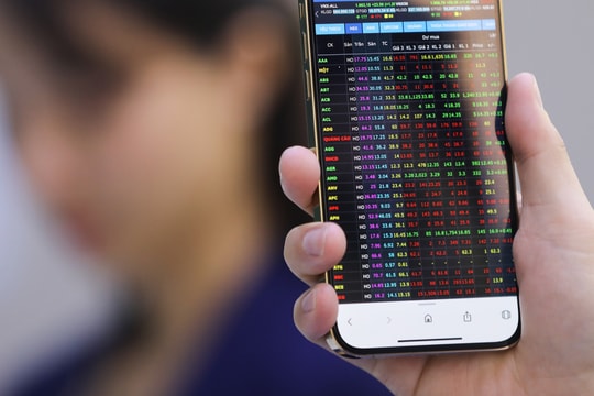 Bị lừa trực tuyến, người phụ nữ ủ mưu dụ thủ phạm 'sập bẫy'