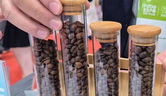 Giá cà phê hôm nay 2-12: Giảm mạnh, hàng trăm nhà mua hàng quốc tế đang quy tụ tại TP HCM