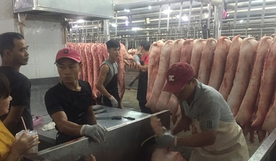 Giá heo hơi hôm nay, 2-12: Lập đỉnh mới