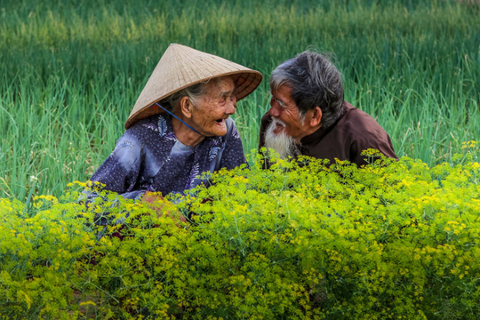 Nghiên cứu mới hé lộ độ tuổi chạm 'điểm giới hạn' của sức khỏe