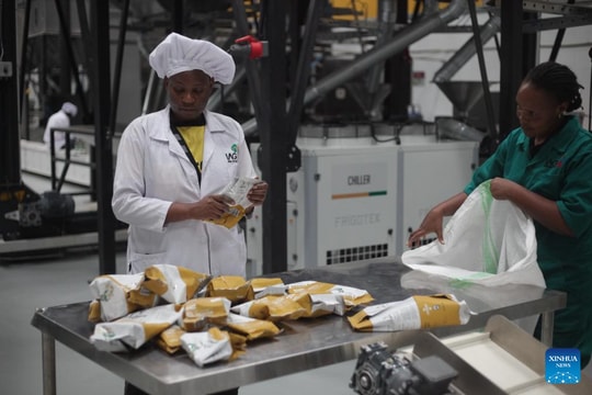 Chính sách thuế 0% của Trung Quốc tạo cú hích cho cà phê Uganda