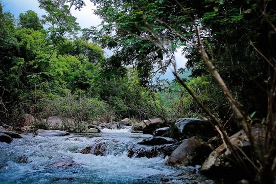 Tỉnh nào có nhiều vườn quốc gia nhất Việt Nam?