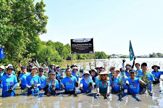 UOB khởi động dự án trồng 10.000 cây rừng phòng hộ Cà Mau