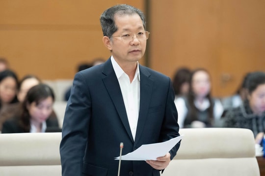 Đề xuất lập tòa án chuyên biệt, thẩm phán có thể là người nước ngoài