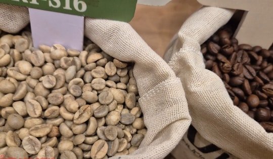 Giá cà phê hôm nay 3-12: Rớt giá liên tục, chưa tìm thấy đáy