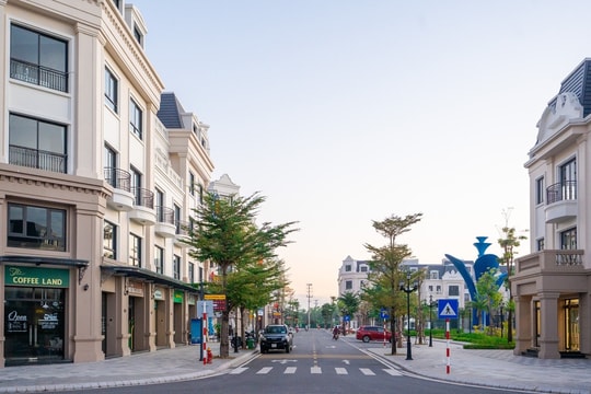 Công thức gia tăng lợi nhuận bền vững tại Asia Vibe