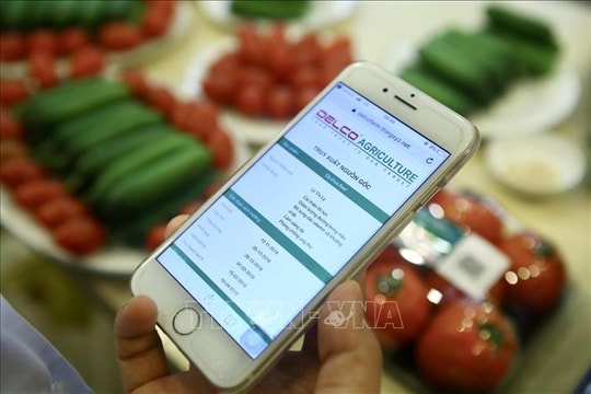 Truy xuất nguồn gốc 'kẹt' ở nền dữ liệu