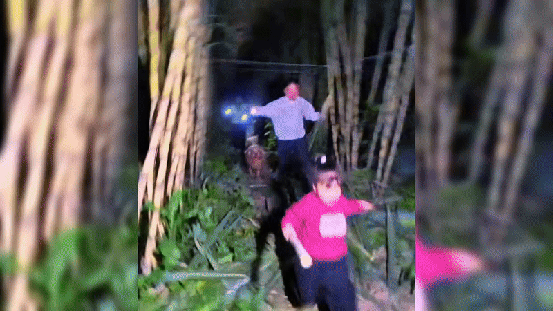 Trào lưu 'trộm mía bị rượt đuổi' gây sốt ở Trung Quốc