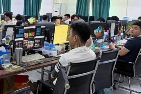 Băng nhóm 'săn' phụ nữ đơn thân để lừa qua mạng