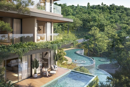 BIM Land giới thiệu 48 biệt thự Camellia Residences trên đồi thông