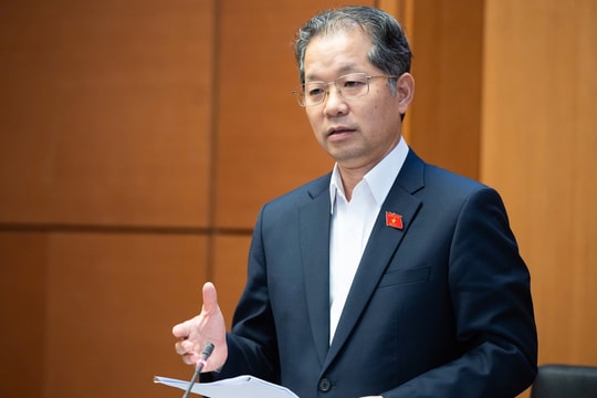 Vì sao cần thẩm phán là người nước ngoài tại tòa chuyên biệt ở TP HCM, Đà Nẵng