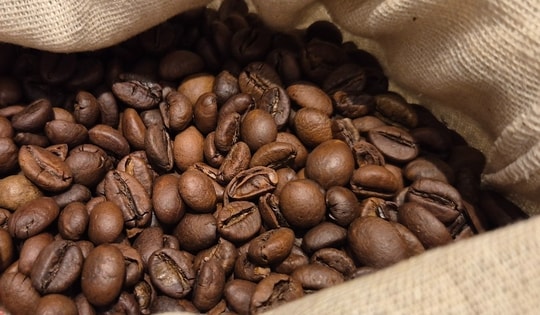 Giá cà phê hôm nay 4-12: Chưa cắt mạch đi lùi, nông dân có bị ép giá?