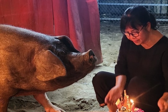 Cuộc sống của Ánh Tuyết trong biệt thự 500 m2