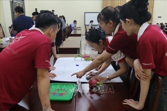 Nâng chuẩn nhà đóng gói trái cây xuất khẩu