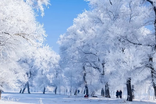 Trung Quốc xúc tiến du lịch, hút khách Việt Nam tới "thủ phủ băng tuyết"